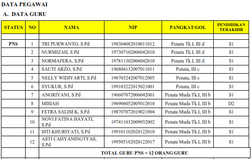 Data Guru PNS